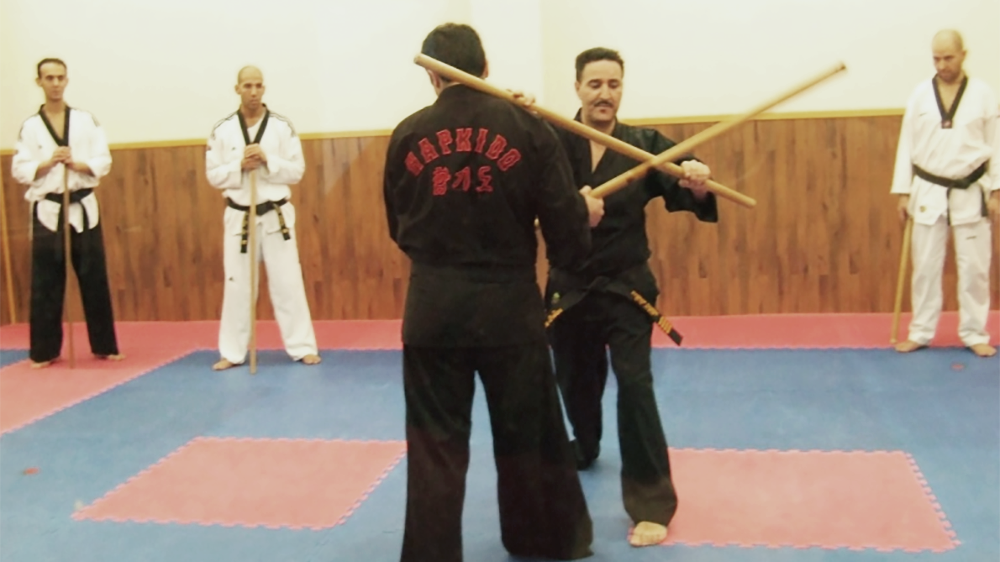 Stichting Sportclub Martial Arts Europe