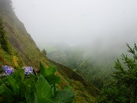 DSC02566