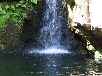 DSC02972