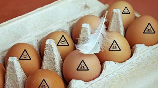 Belangen voedselindustrie wegen zwaarder dan consumentenbescherming